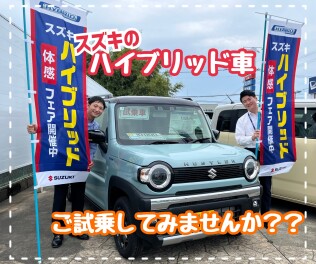 今週末からハイブリッド体感フェア！